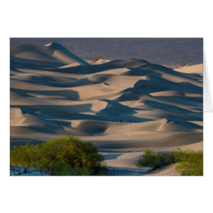 Paisaje de dunas de arena, California