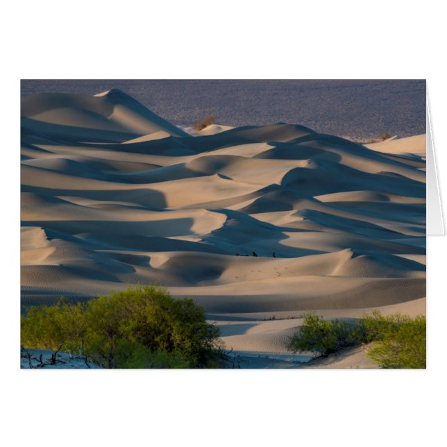 Paisaje de dunas de arena, California (Anverso (Horizontal))
