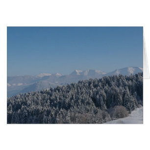 Paisaje de invierno frío y nevado 11
