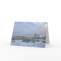Paisaje de la playa de invierno Foto Tarjeta de fe