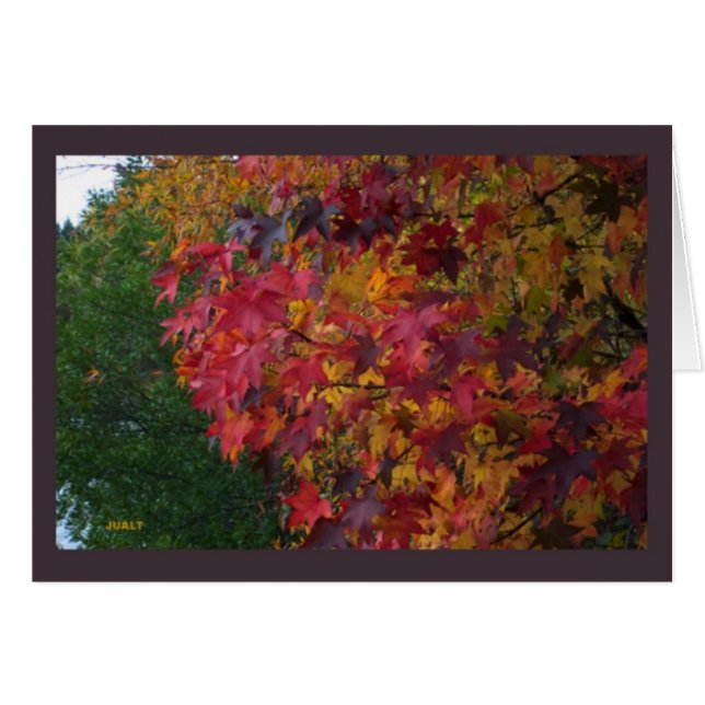 Paisaje de la tarjeta 16 (Anverso (Horizontal))