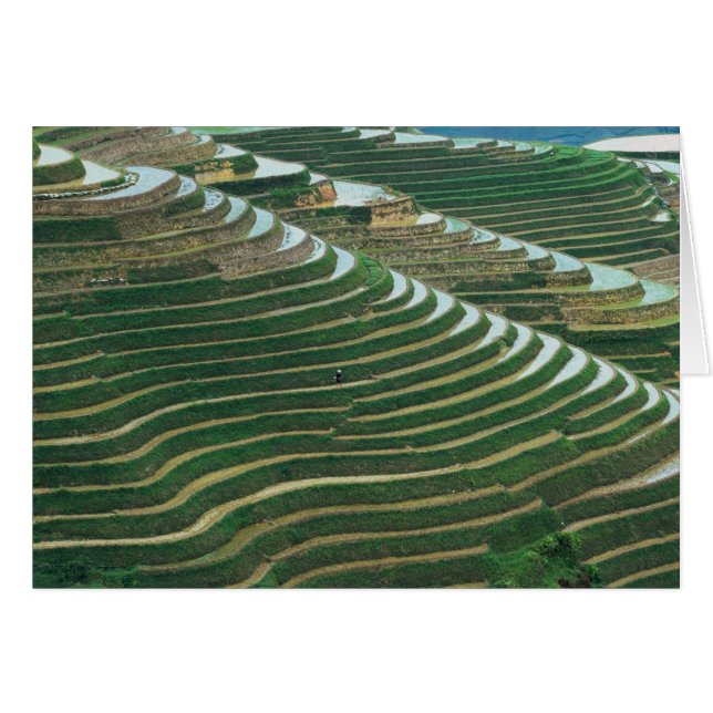Paisaje de las terrazas de arroz en la montaña, 3 (Anverso (Horizontal))