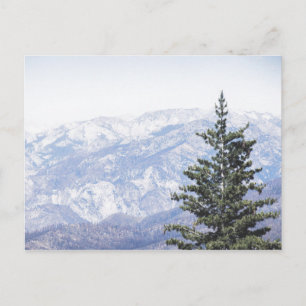 Paisaje de montaña con Pino   Tarjeta postal