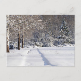 Paisaje de nieve. Una postal estacional.