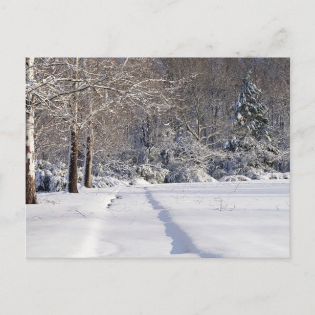 Paisaje de nieve. Una postal estacional. (Anverso)