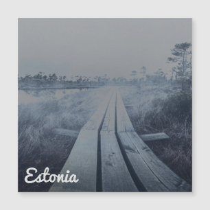 Paisaje de oscilación de niebla