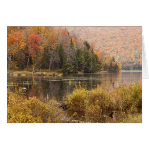 paisaje de otoño con lago, Vermont, EE. UU. 3