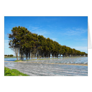 Paisaje de primavera en tarjeta Jersey