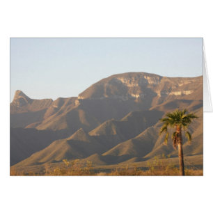 Paisaje de rancho desértico cerca de Monterey, Méx