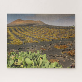 Paisaje de rompecabezas de Lanzarote - Viñedo
