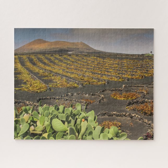 Paisaje de rompecabezas de Lanzarote - Viñedo (Horizontal)