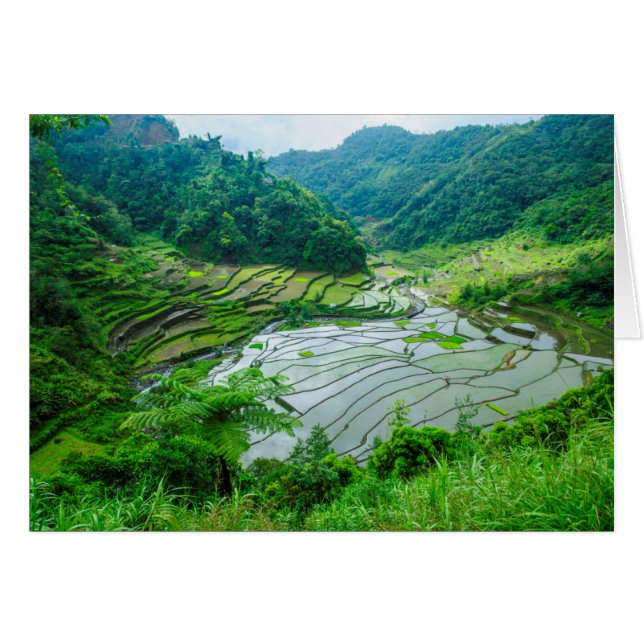 Paisaje de terraza de arroz, Filipinas (Anverso (Horizontal))