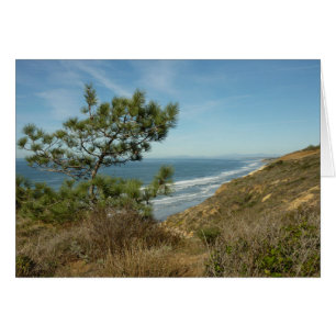 Paisaje de Torrey Pine y costa de California