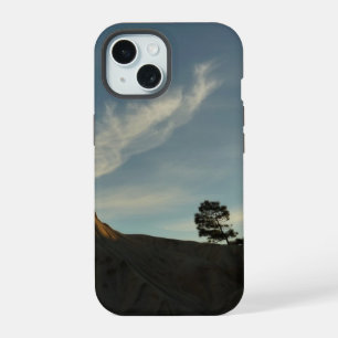 Paisaje del atardecer del pino de Torrey solitario