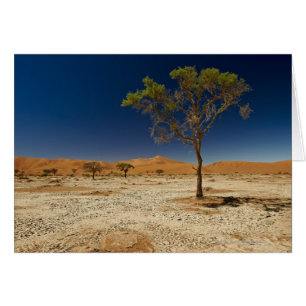 paisaje del desierto con el árbol de Namib en