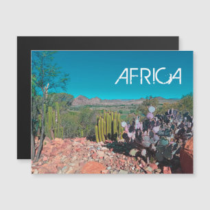 Paisaje del desierto de África Naturaleza Cactus P