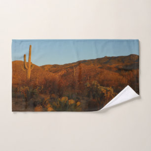 Paisaje del desierto de Saguaro Sunset I Arizona