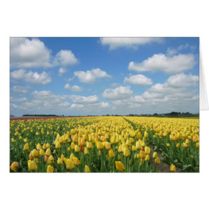 Paisaje del festival del tulipán de la primavera