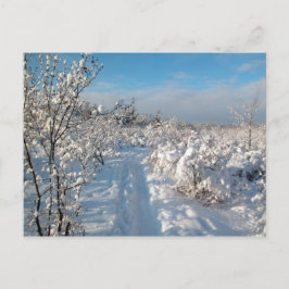 Paisaje del invierno - postal