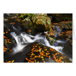 Paisaje del otoño en las caídas Spruce de los