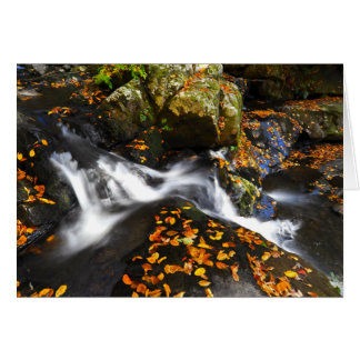 Paisaje del otoño en las caídas Spruce de los