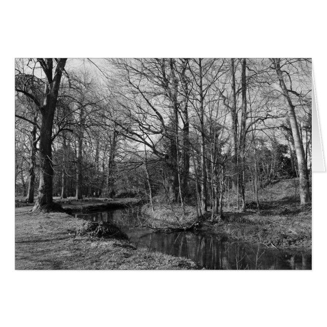 Paisaje del Parque - Parque Bute, Cardiff (Anverso (Horizontal))