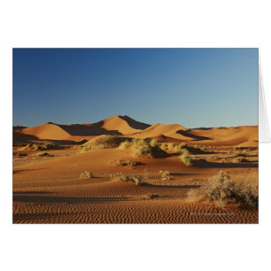 Paisaje desértico de Namib en Sossusvlei,