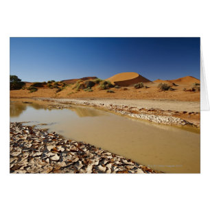 Paisaje desierto de Namib en Sossusvlei relleno