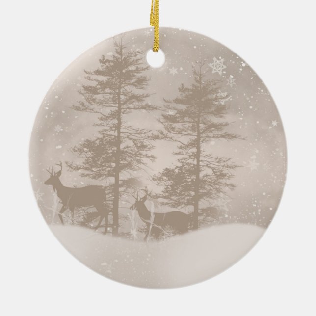 Paisaje elegante del invierno con el ornamento del (Atrás)