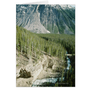 Paisaje empantanado en el Parque Nacional Banff, C