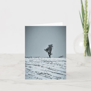 Paisaje invernal