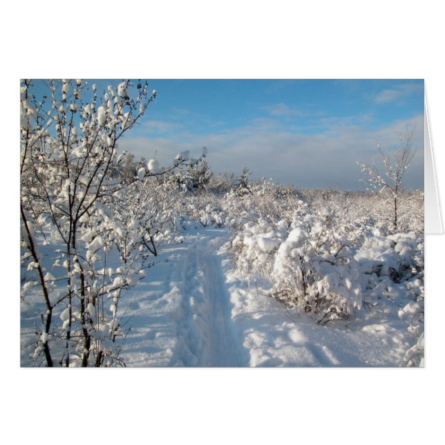 Paisaje invernal (Anverso (Horizontal))