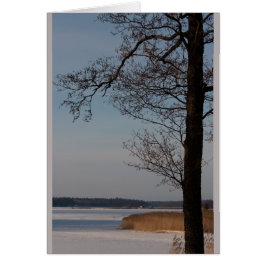 Paisaje invernal con árbol CC0370