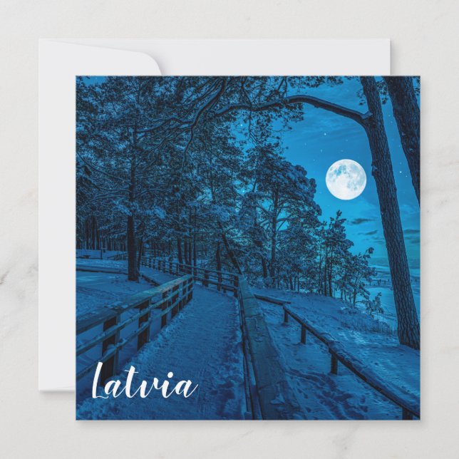 Paisaje invernal con pinar cubierto de nieve (Anverso)