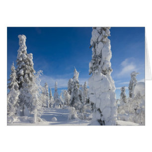 Paisaje invernal en Lappland