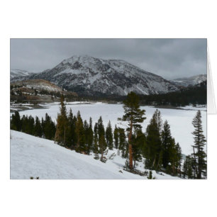 Paisaje invernal Snowy Ellery Lake California