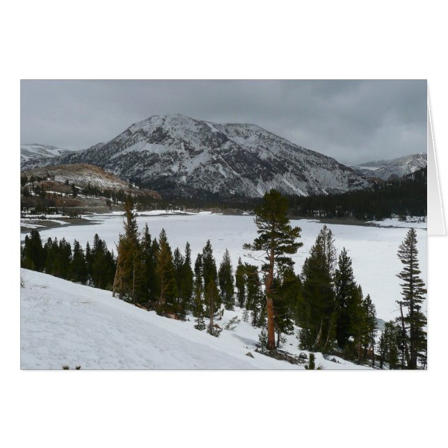 Paisaje invernal Snowy Ellery Lake California (Anverso (Horizontal))