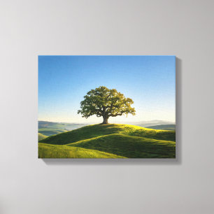 Paisaje nº 6, impresión en lienzo de la serie Pais