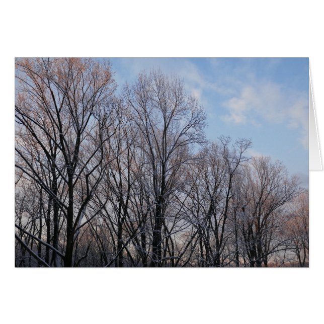 Paisaje natural de la Mañana de Invierno III (Anverso (Horizontal))