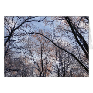 Paisaje natural de la Mañana del Invierno II