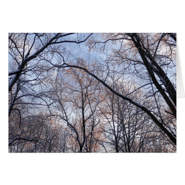 Paisaje natural de la Mañana del Invierno II (Anverso (Horizontal))