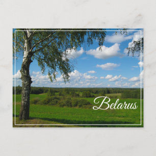 Paisaje natural paisaje Birch Bielorrusia postal