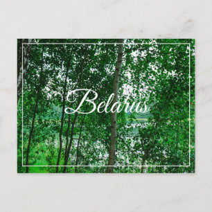 Paisaje natural paisaje Birch Bielorrusia postal