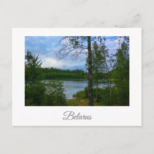 Paisaje natural paisaje Birch Bielorrusia postal