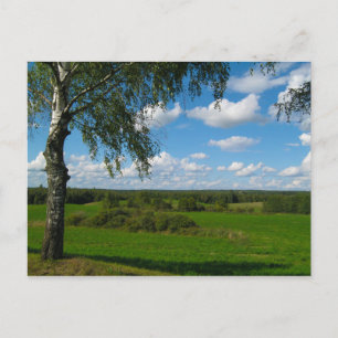 Paisaje natural paisaje Birch Bielorrusia postal