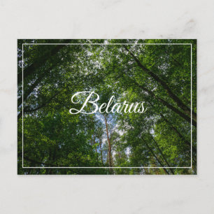 Paisaje natural paisaje Bosque Bielorrusia postal