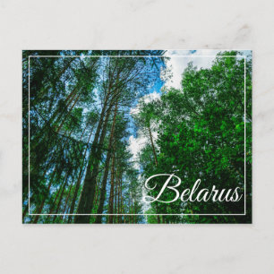 Paisaje natural paisaje Bosque Bielorrusia postal