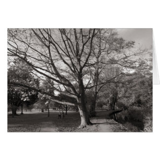 Paisaje otoñal, Parque Bute, Cardiff