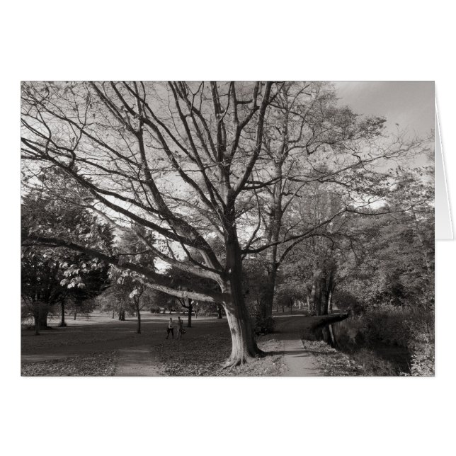 Paisaje otoñal, Parque Bute, Cardiff (Anverso (Horizontal))