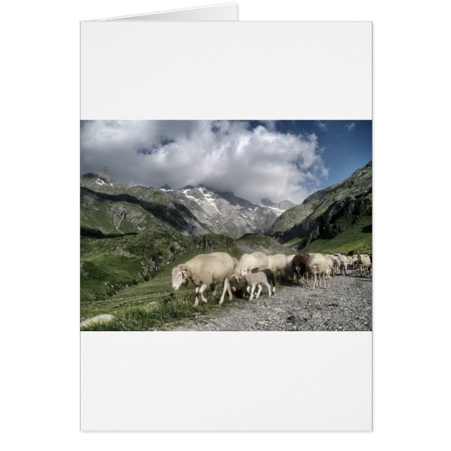 paisaje pirénico (Frente)